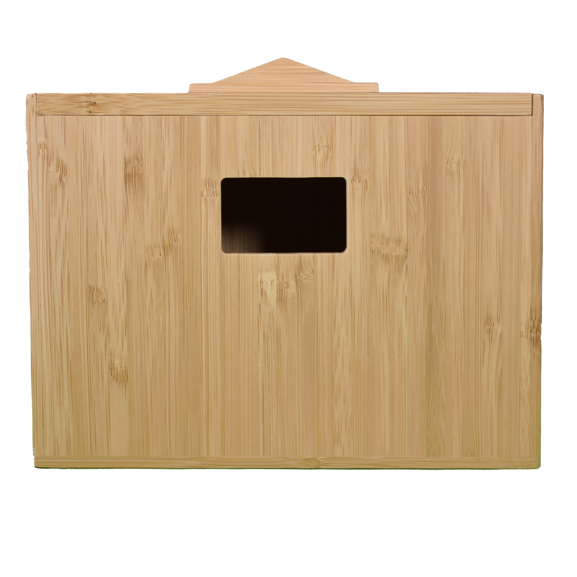 Recyclens - Bamboo image 0